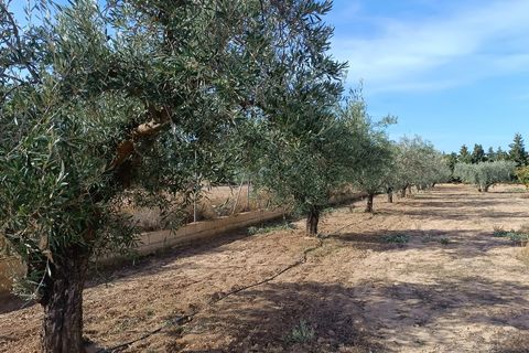 Rækkehus i Yecla, Murcia, Yecla - € 315.000 | Ref: RP32 - foto 23